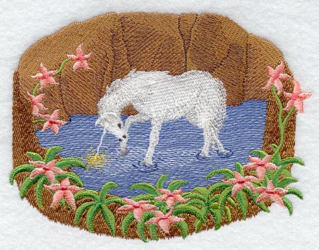 Unicorn Reflection Scene