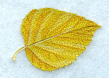 Autumn Birch Leaf