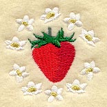 Strawberry Jar Cover