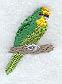 Parakeet (Miniature)