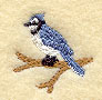 Blue Jay (Miniature)