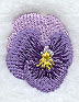 Pansy (Miniature)