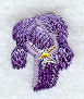Iris (Miniature)