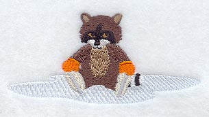 Skating Raccoon