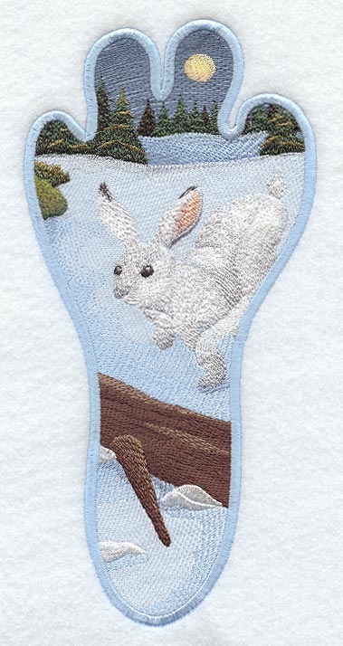 Rabbit Track Scene - Winter