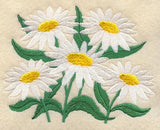 Delicate Daisy Bunch