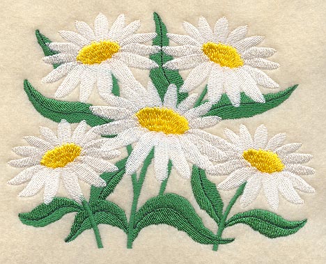 Delicate Daisy Bunch