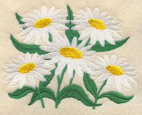 Delicate Daisy Bunch