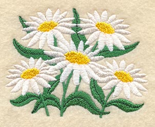 Delicate Daisy Bunch
