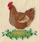 Rhode Island Red Hen