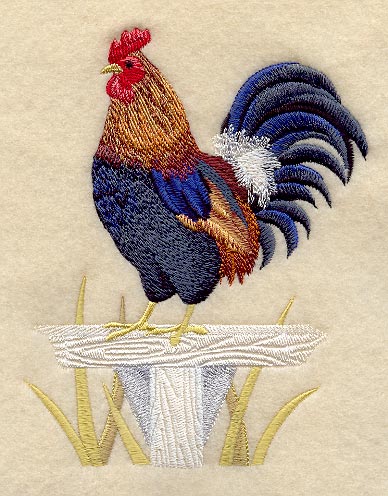 Jungle Fowl Rooster