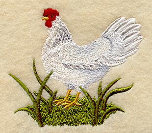 Leghorn Hen