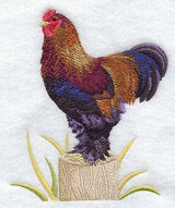 Partridge Brahma Rooster