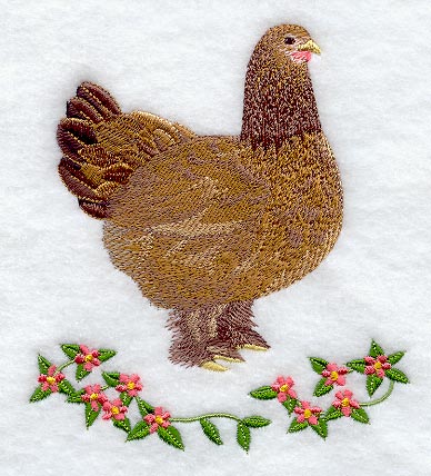 Buff Brahma Hen