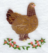 Buff Brahma Hen