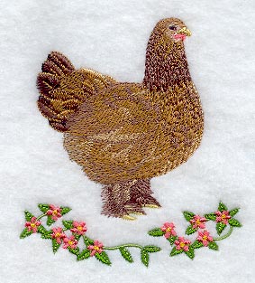 Buff Brahma Hen