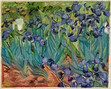 Irises - Van Gogh