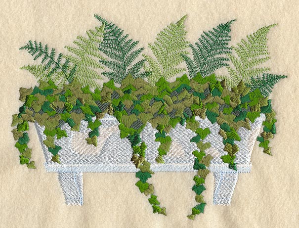 Ferns & Ivy