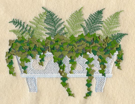 Ferns & Ivy