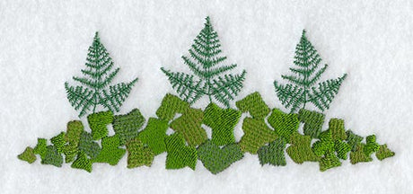 Fern and Ivy Border
