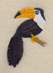 Toucan (Fringe)