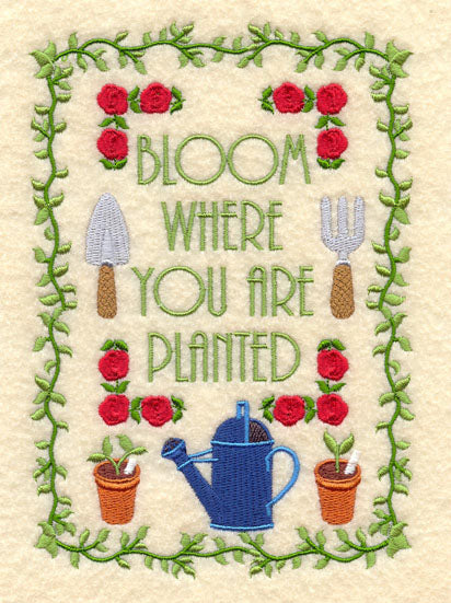 Bloom Where You Are Planted
