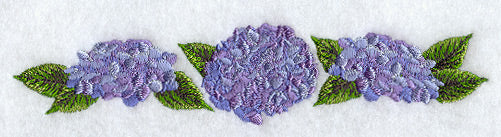 Hydrangea Border