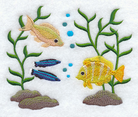 Tropical Fish Scene