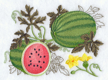 Watermelon Botanical