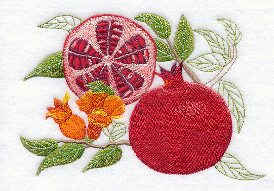 Pomegranate Botanical