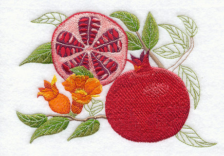 Pomegranate Botanical