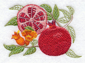 Pomegranate Botanical