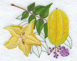 Starfruit Botanical