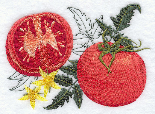 Tomato Botanical