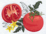 Tomato Botanical