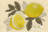 Lemon Botanical