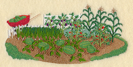 Vegetable Garden Scene
