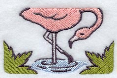 Flamingo in Water