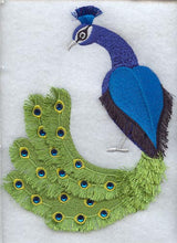 Peacock Pride (Fringe, Crystals)