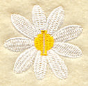 Daisy Buttonhole - 1/2 Inch