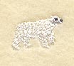 Polar Bear (Miniature)