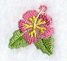 Hibiscus (Miniature)