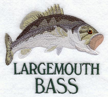 Largemouth Bass
