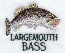Largemouth Bass