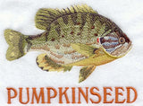 Pumpkinseed
