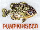 Pumpkinseed