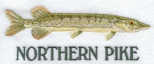 Northern Pike