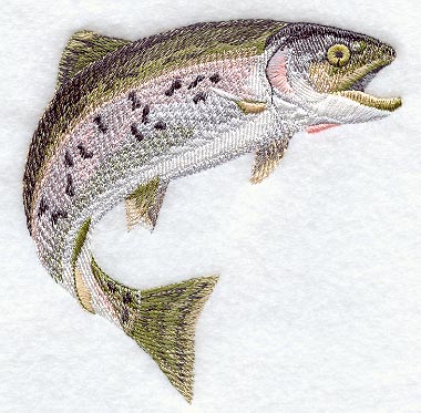 Rainbow Trout