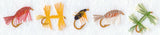 Fly Fishing Border