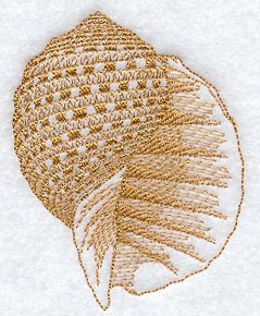 Spotted Tun Seashell (Toile)